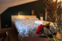 B&B Aarle-Rixtel - Porcus Campus - Bed and Breakfast Aarle-Rixtel