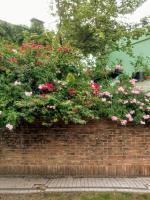 Jardin Secreto - B&B