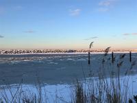 Appartement met 2 slaapkamers