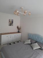 Comfortable apartment Zamostyanska 34а - Chambres d’hôtes Vinnytsia