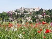 B&B Fayence - GITE DES CAMPAGNES - Bed and Breakfast Fayence