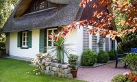 B&B Ostseebad Ahrenshoop - Meermaler - Bed and Breakfast Ostseebad Ahrenshoop