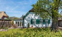 Büdnerei 19 Süd - Ferienwohnung Born