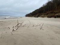 Ekologiczny z Ogródkiem - Chambres d’hôtes Jastrzębia Góra