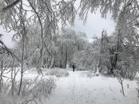 Apartment - Erdgeschoss