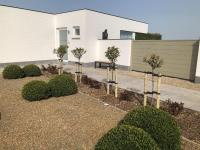 Vakantiehuis Onverbloemd - Ferienwohnung