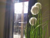 Deluxe Parkapartment Vienna City Center - free parking! - Bed and Breakfast
