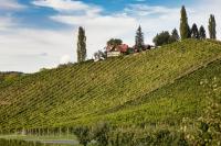 Ferienwohnungen Weingut Familie Danko - B&B Gamlitz