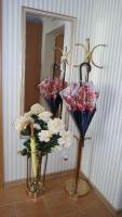 2 kambarių apartamentai su virtuve, Trakų miesto centre - B&B Trakai