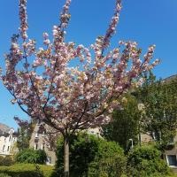 Heimathafen - Ferienwohnung Mülheim (Ruhr)