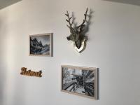 Alpenflair Ferienwohnung 311 Bergzeit - Ferienwohnung Oberstdorf