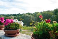 Apartment mit Gartenblick