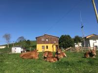 El Refugio de Isol La Fontarica & Fuente - Ferienwohnung Trevías