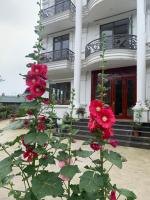 The 1996 House - B&B Lào Cai