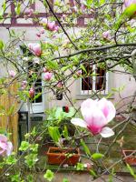 Appartement Petite France avec terrasse - B&B Strasburgo