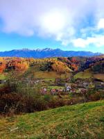Green Village Bran - B&B Bran