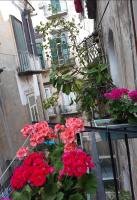GELSO HOME - B&B