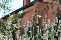 Villa Arancia Quiet, Central, Parking and Air Conditioning - Chambres d’hôtes Levanto