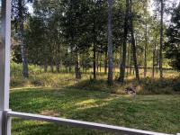 Eriksmala villa - B&B