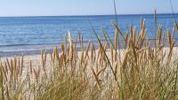 GT apartamentai - B&B Palanga