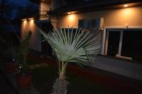 Pensiunea Danieli - B&B