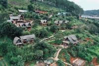Vườn Nhà Củi Homestay - Bed and Breakfast