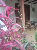 Supipi Homestay - B&B
