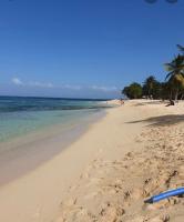 Appartement à proximité de la plage de l'autre bord LE MOULE - B&B Le Moule