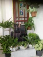 White House Ella - B&B Ella Town