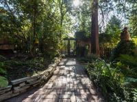 Ferienwohnung Dresden-Pillnitz - Elbhang-Villa - "Am Zuckerhut" - B&B Dresda