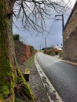 Gîte L'Olivier à Filly - Nadrin, entre Houffalize et La Roche-en-Ardenne - B&B Houffalize