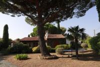 Maison sous les Pins - B&B