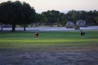 B&B Langebaan - Langebaan Golf Lagoon Haven - Bed and Breakfast Langebaan