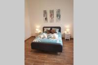 maisonnette entre lac de Passy et montagnes - B&B Domancy