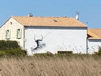 Mas Lou Caloun - Chambre d'Hôte face à la piscine en Camargue - Les Saintes Maries de la Mer - Chambres d'hôtes Saintes-Maries-de-la-Mer