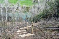 Down by the River - B&B Blue Ridge