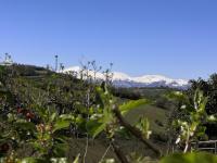Casa di Tony - Ferienwohnung Montegiorgio