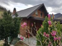 B&B Konjic - Brvnara - Winter house - Bed and Breakfast Konjic