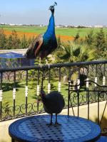 Chambre Lit King-Size avec Balcon