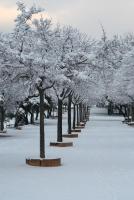 Casa con 1 Camera da Letto