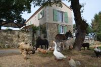 La Ferme Des Vergnes - Ferienwohnung Gabillou