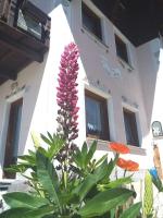 B&B Livigno - Baita Stella Alpina - Bed and Breakfast Livigno