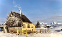 B&B Stahovica - Chalet Velika Planina-I FEEL ALPS - Bed and Breakfast Stahovica