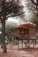 Small Cabin with Garden View