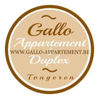 Appartement met 1 Slaapkamer