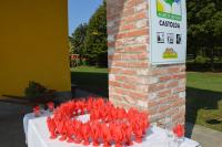 Camera Matrimoniale con Patio