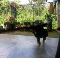 Hamadhi guest - Bed and Breakfast