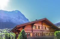 Excellent flat with a fantastic view of the Eiger! - B&B
