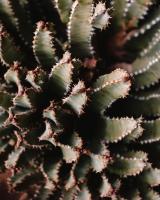 Historic Star Motel - Ferienwohnung Sedona