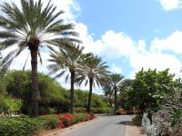 Piscadera Bay Resort 93 - B&B